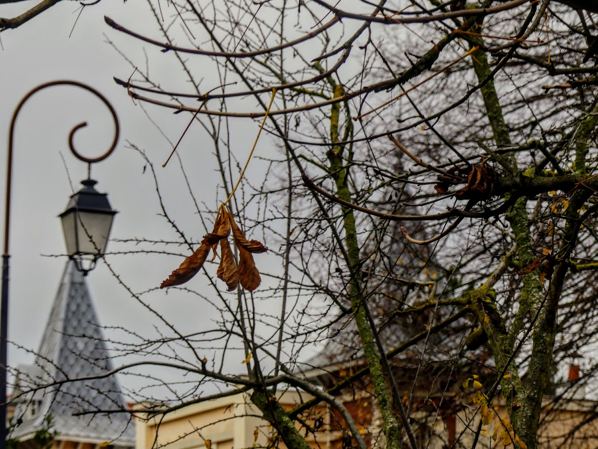 Reverbère sur feuilles au parc Raymond Sibile